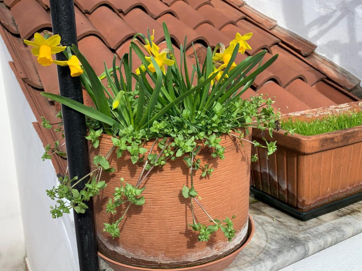 Rooftop Terrace Domus Dei Fabbri Wenecja Zewnętrze zdjęcie